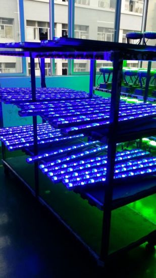 DMX512 IP67 Floor LED LED Lavadora de pared Luz